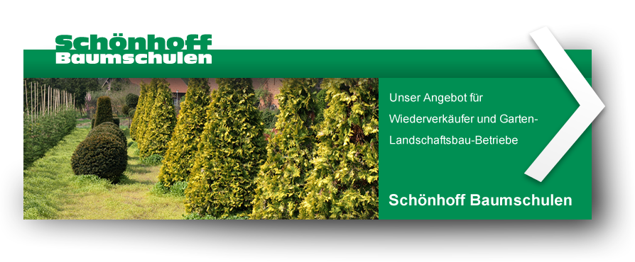 Sch&oumlnhoff Baumschulen GmbH